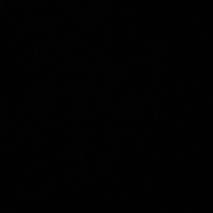 Meet your Posher, Dennis